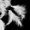 Home Decorations Wedding Decoration Feathers